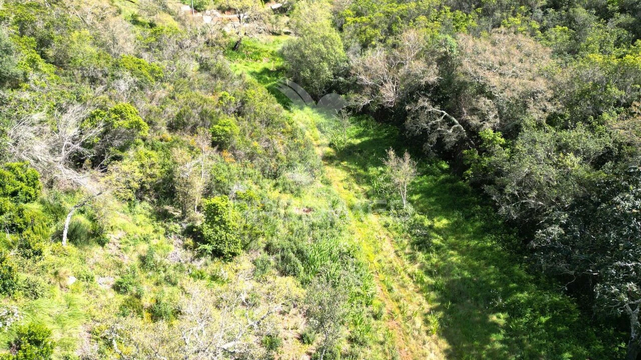 Quinta T0 para Venda em São Teotónio Foto 15