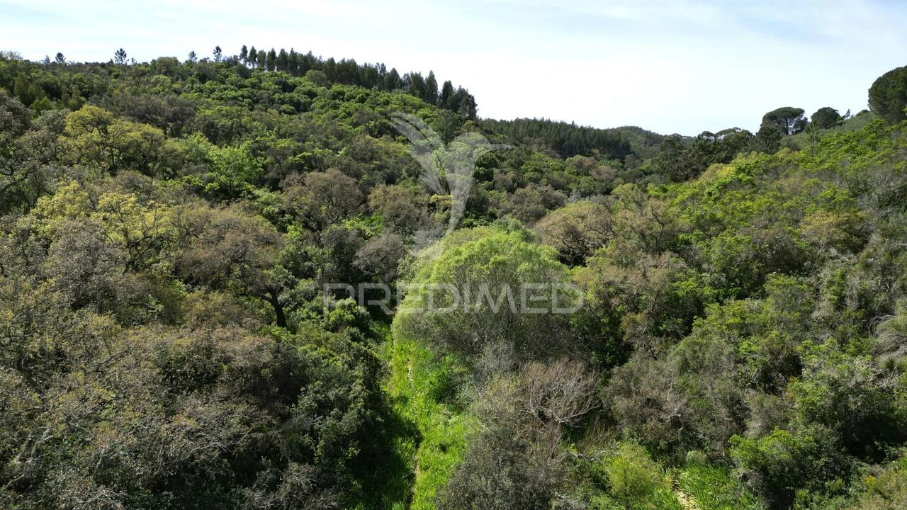 Quinta T0 para Venda em São Teotónio Foto 21