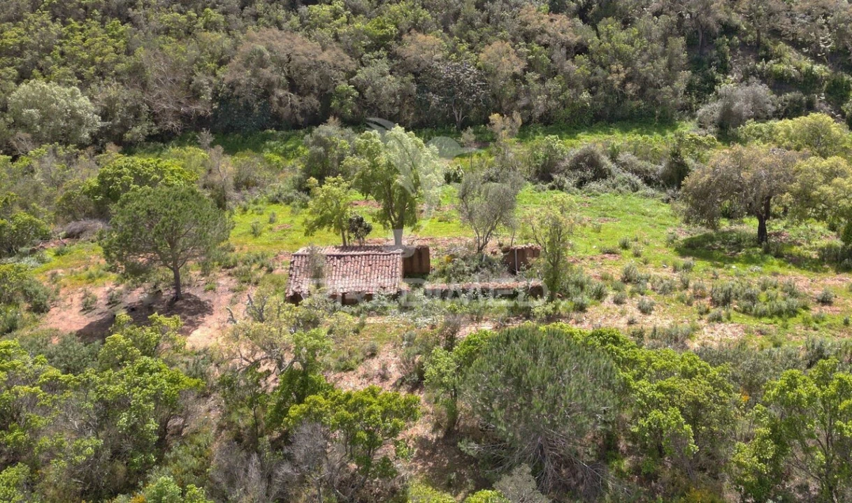 Quinta T0 para Venda em São Teotónio Foto 5