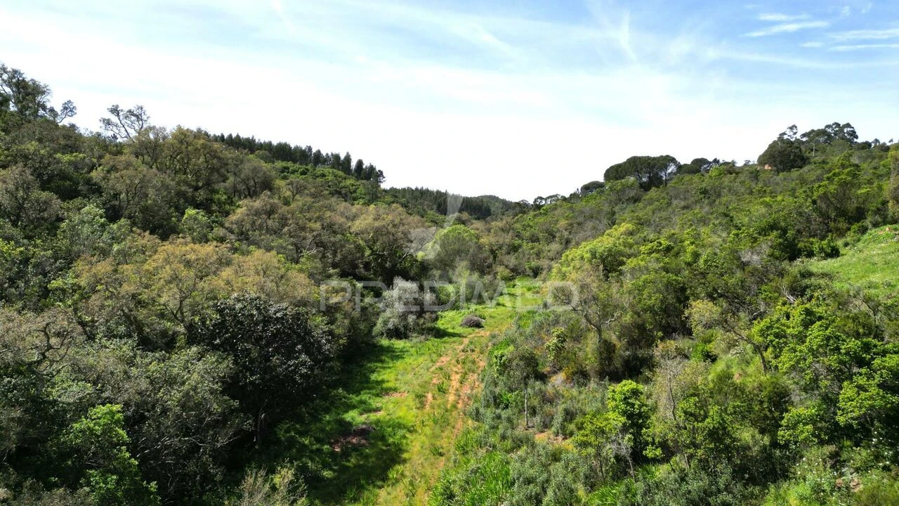 Quinta T0 para Venda em São Teotónio Foto 14