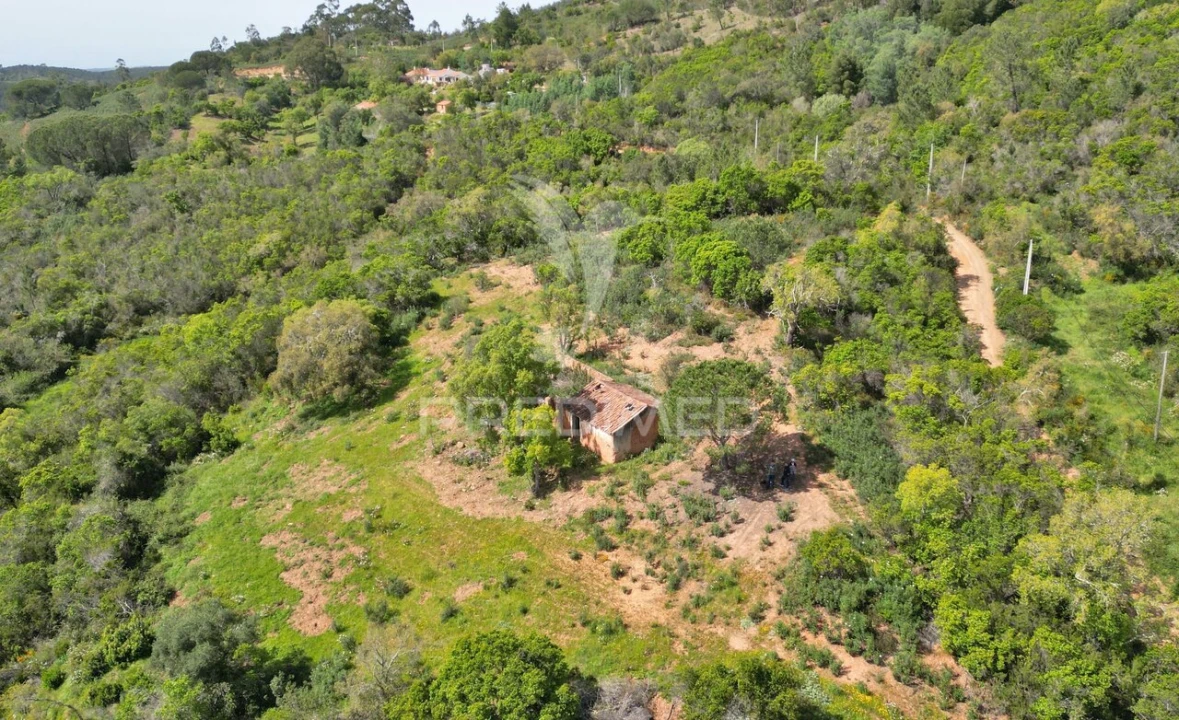 Quinta T0 para Venda em São Teotónio Foto 6