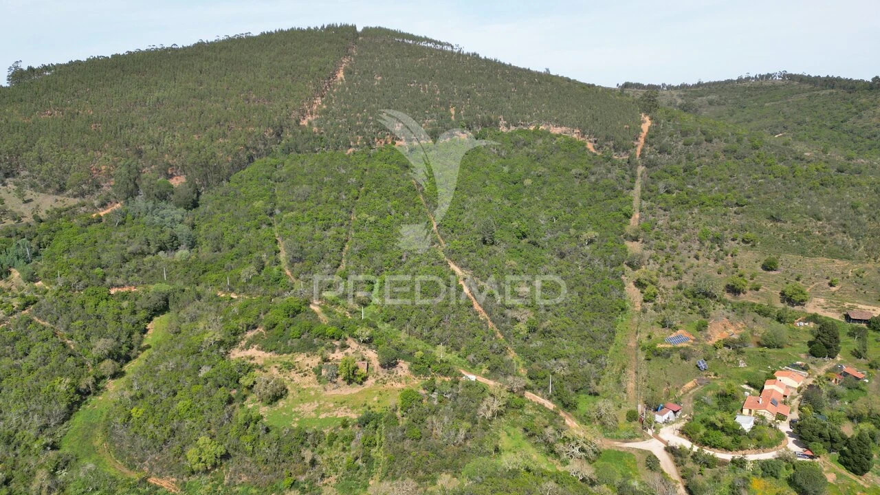 Quinta T0 para Venda em São Teotónio Foto 8
