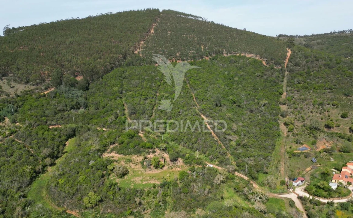 Quinta T0 para Venda em São Teotónio Foto 16