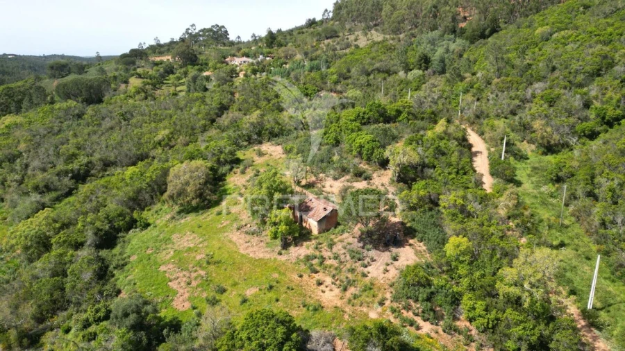 Quinta T0 para Venda em São Teotónio Foto 3