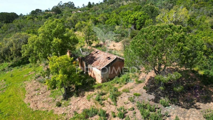 Quinta T0 para Venda em São Teotónio