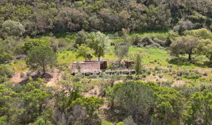Quinta T0 para Venda em São Teotónio Foto 5