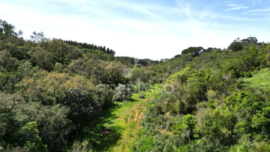 Quinta T0 para Venda em São Teotónio Foto 14
