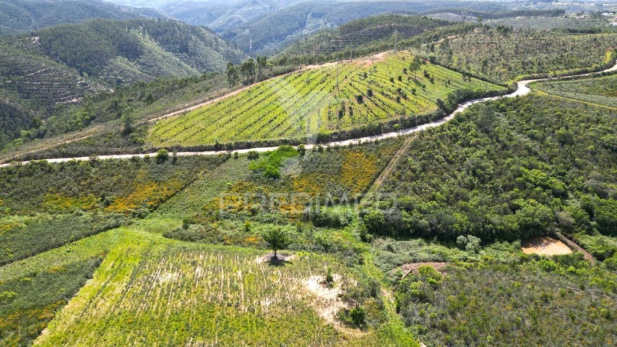 Quinta T0 para Venda em São Teotónio Foto 20