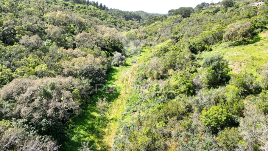 Quinta T0 para Venda em São Teotónio Foto 13