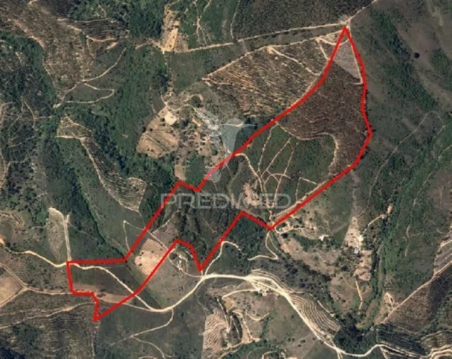 Quinta T0 para Venda em São Teotónio Foto 23