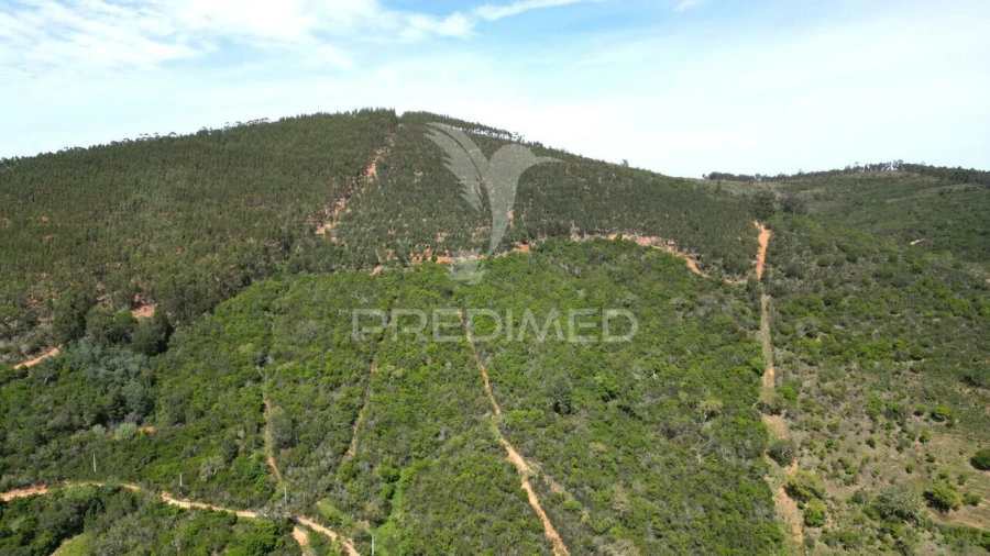 Quinta T0 para Venda em São Teotónio Foto 17