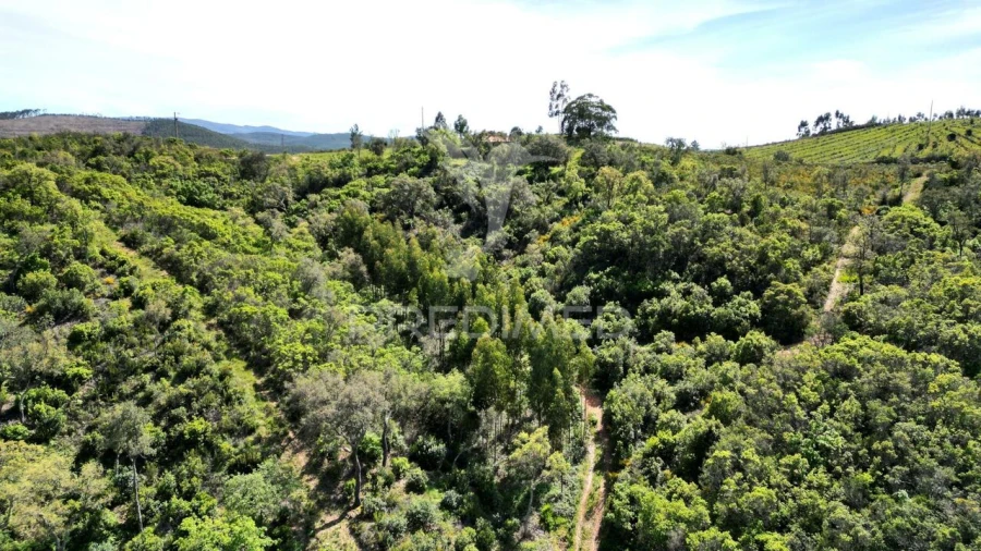 Quinta T0 para Venda em São Teotónio Foto 22