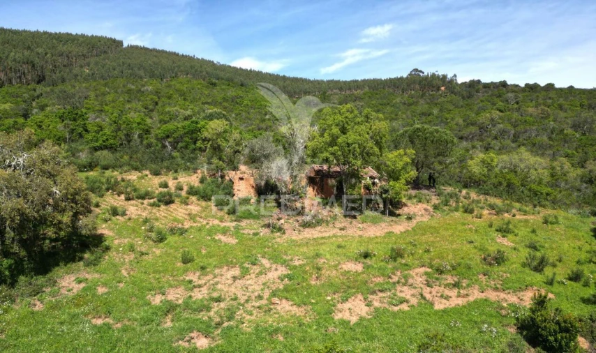 Quinta T0 para Venda em São Teotónio Foto 7