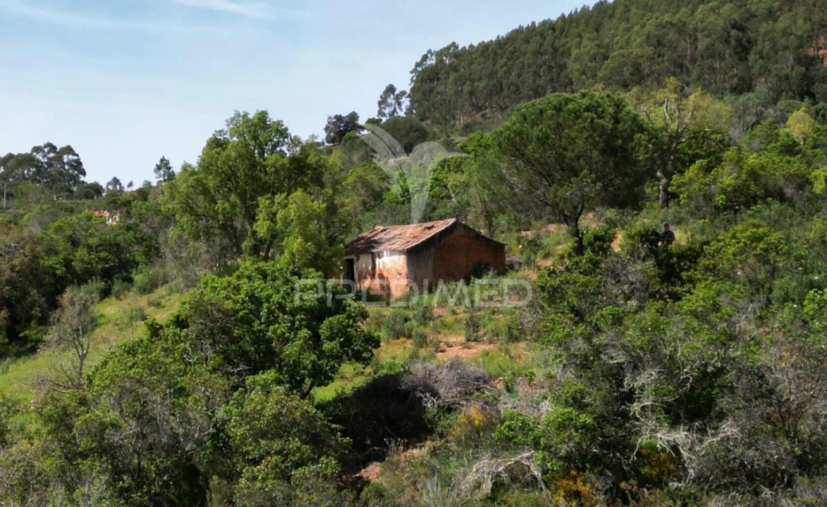 Quinta T0 para Venda em São Teotónio Foto 2