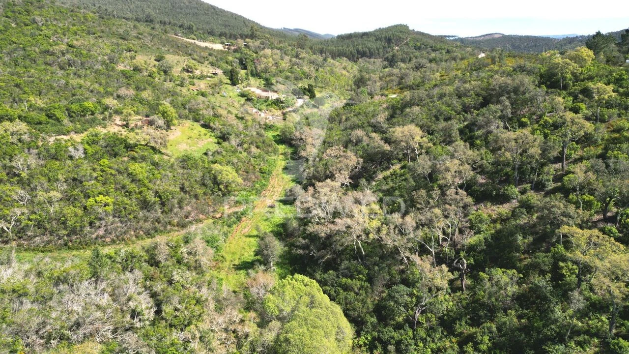 Quinta T0 para Venda em São Teotónio Foto 11