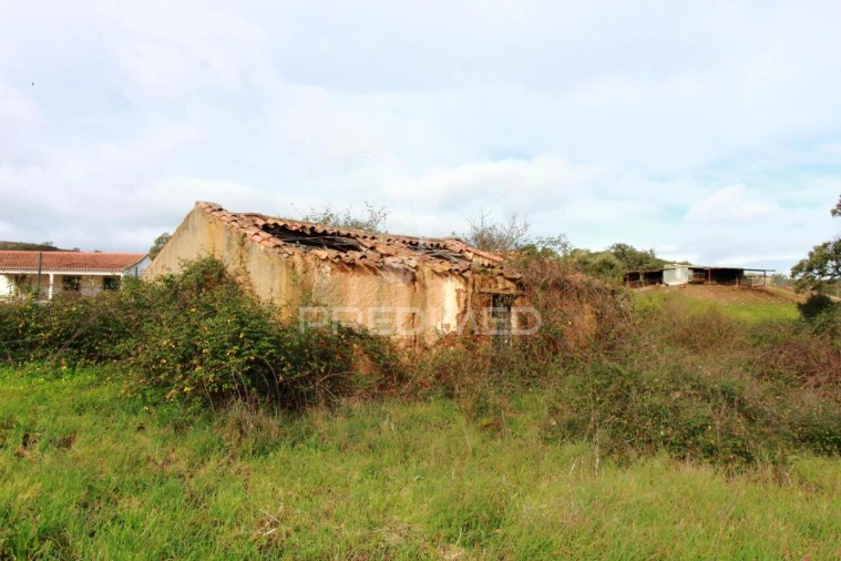 Quinta T6 para Venda em São Teotónio Foto 16