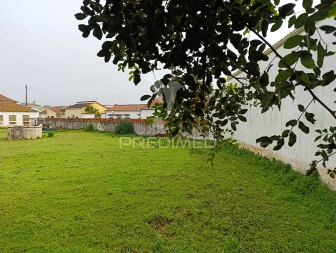 Armazém para Venda em Rio Maior Foto 15