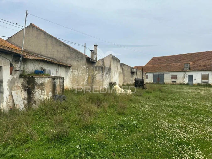 Armazém para Venda em Rio Maior Foto 12