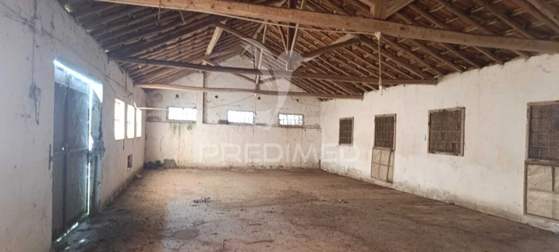 Armazém para Venda em Rio Maior Foto 8