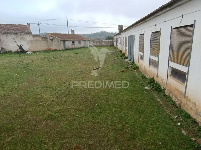 Armazém para Venda em Rio Maior Foto 4