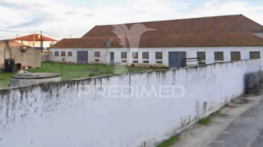 Armazém para Venda em Rio Maior