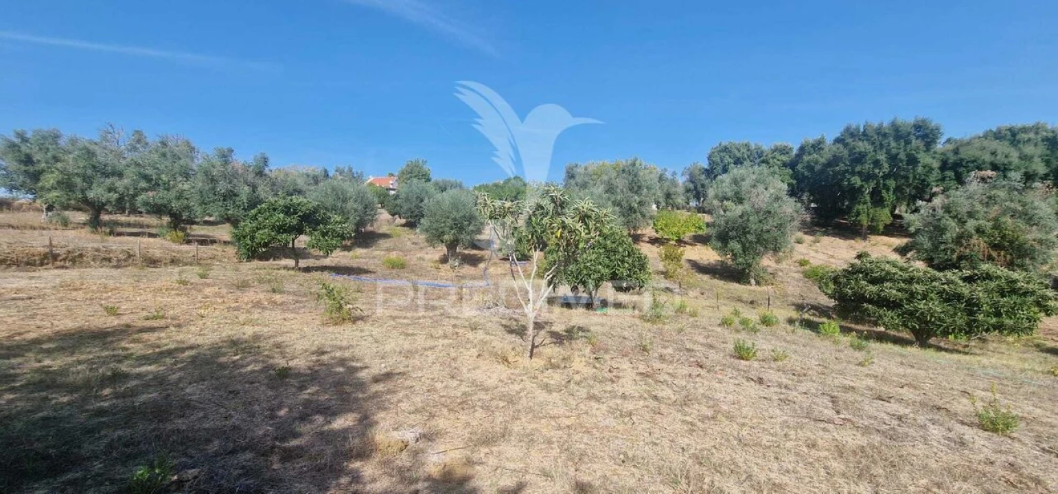 Moradia T2 para Venda em São João Baptista e Santa Maria dos Olivais Foto 22