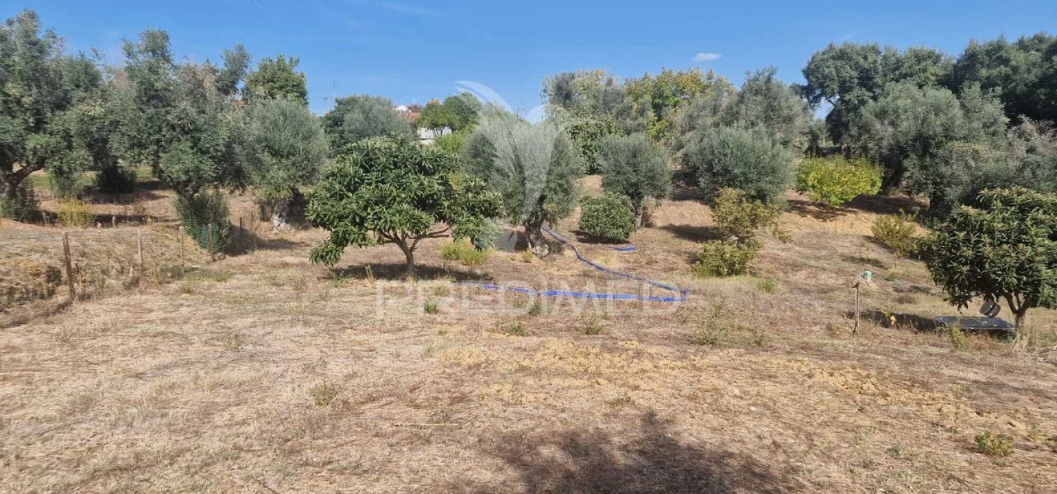 Moradia T2 para Venda em São João Baptista e Santa Maria dos Olivais Foto 20