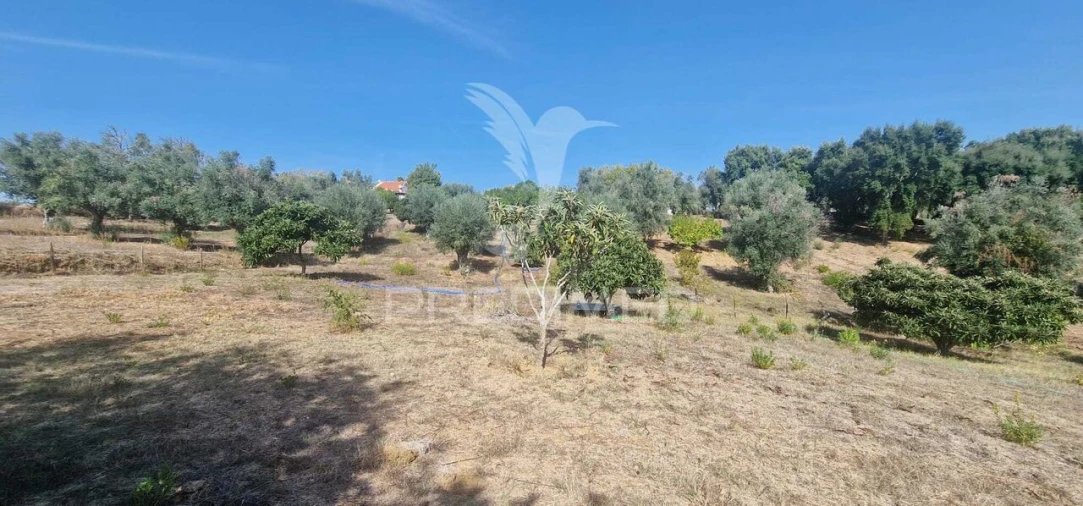 Moradia T2 para Venda em São João Baptista e Santa Maria dos Olivais Foto 22