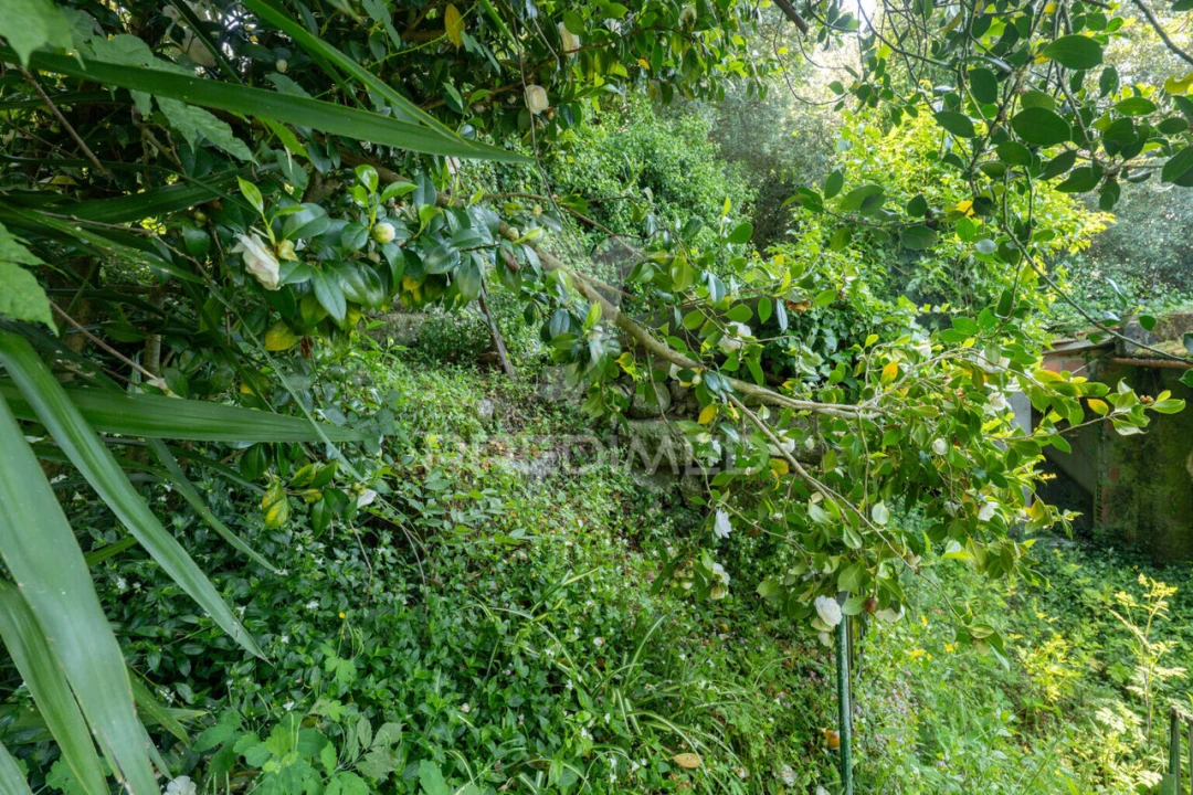 Moradia T2 para Venda em Bouro (Santa Maria) Foto 24