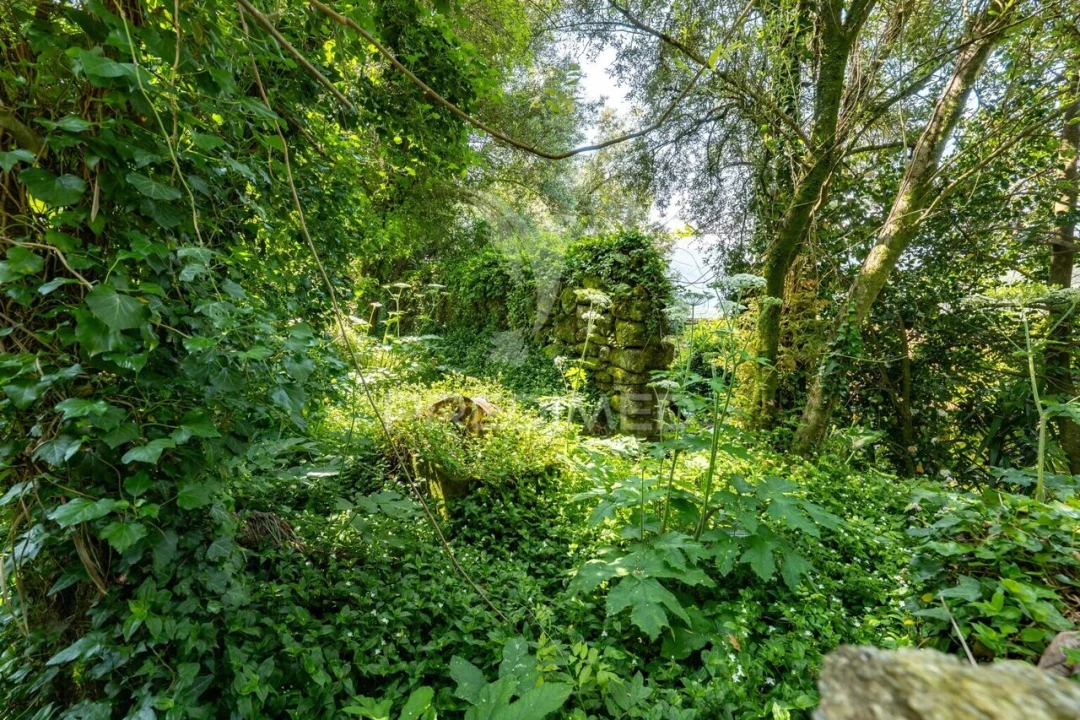 Moradia T2 para Venda em Bouro (Santa Maria) Foto 27