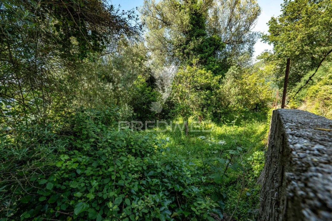 Moradia T2 para Venda em Bouro (Santa Maria) Foto 29