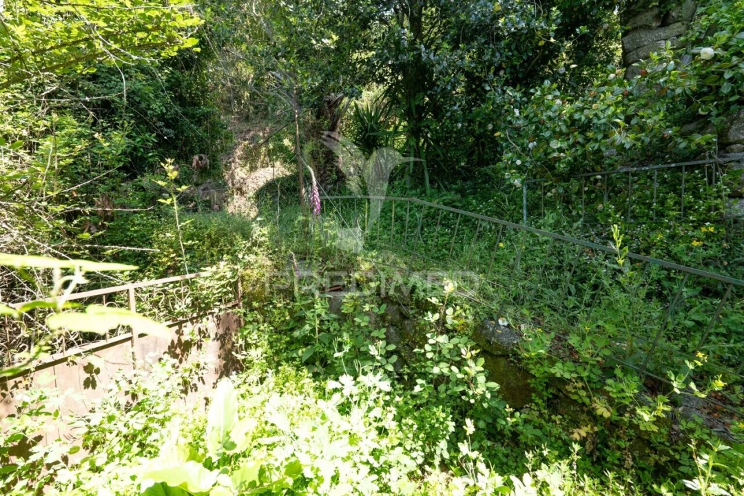 Moradia T2 para Venda em Bouro (Santa Maria) Foto 26