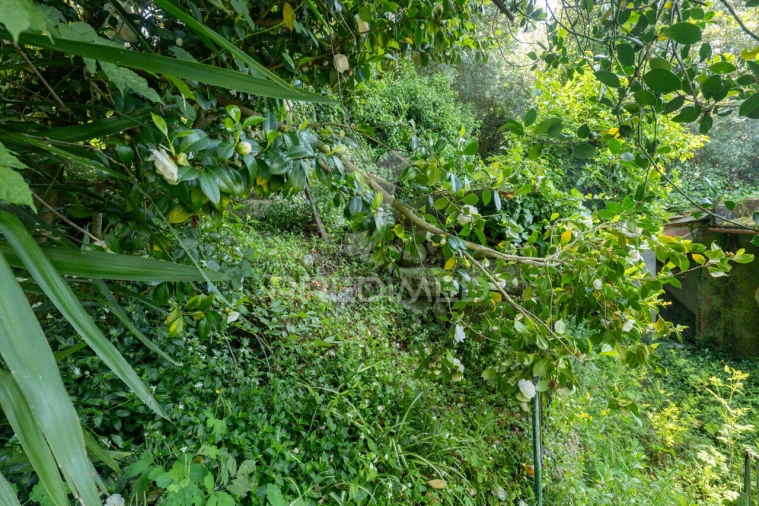 Moradia T2 para Venda em Bouro (Santa Maria) Foto 24