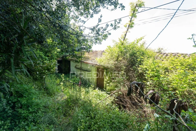 Moradia T2 para Venda em Bouro (Santa Maria) Foto 8