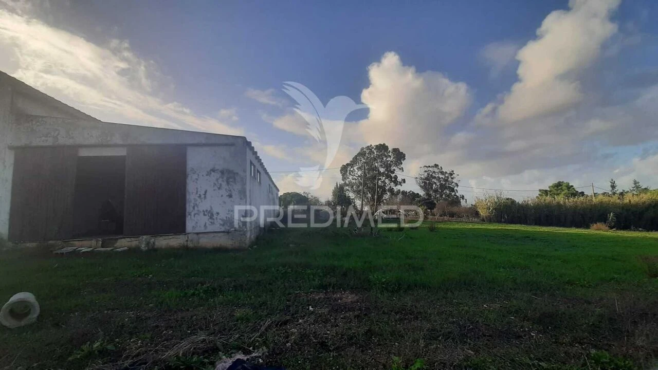 Terreno para Venda em Sesimbra (Castelo) Foto 5