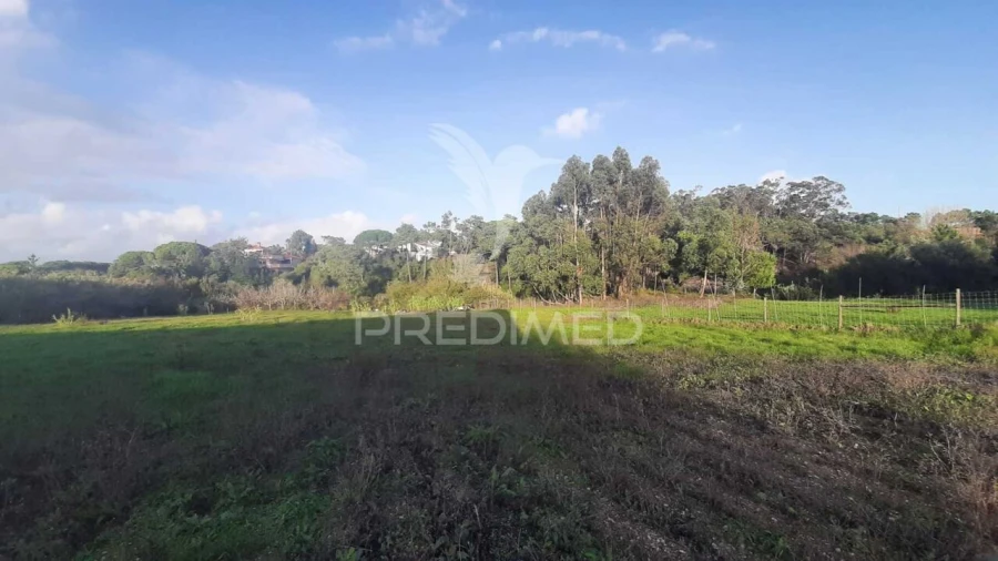 Terreno para Venda em Sesimbra (Castelo) Foto 3