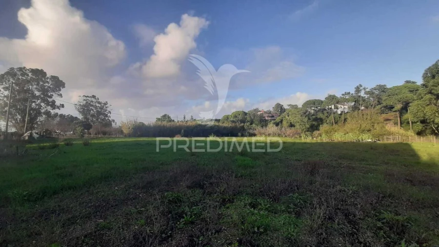 Terreno para Venda em Sesimbra (Castelo) Foto 4