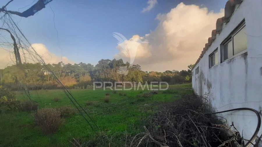 Terreno para Venda em Sesimbra (Castelo) Foto 9