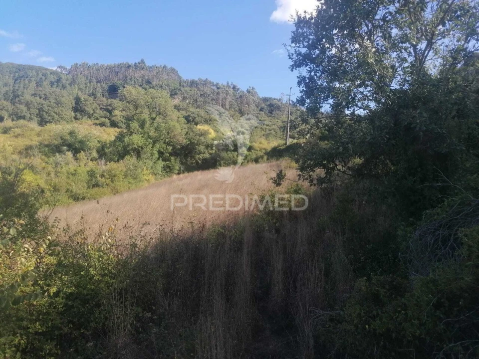 Terreno para Venda em Santo Quintino Foto 6