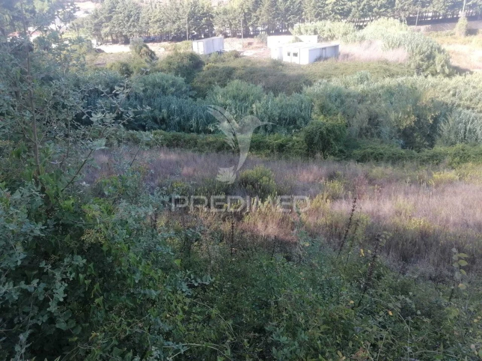 Terreno para Venda em Santo Quintino Foto 1