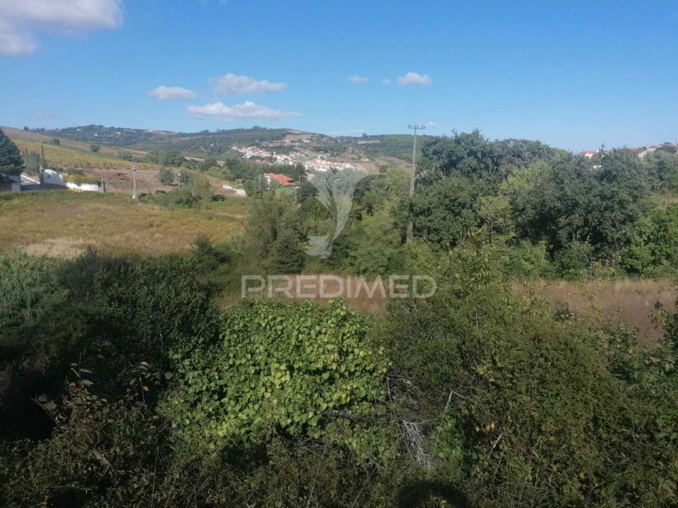 Terreno para Venda em Santo Quintino Foto 5