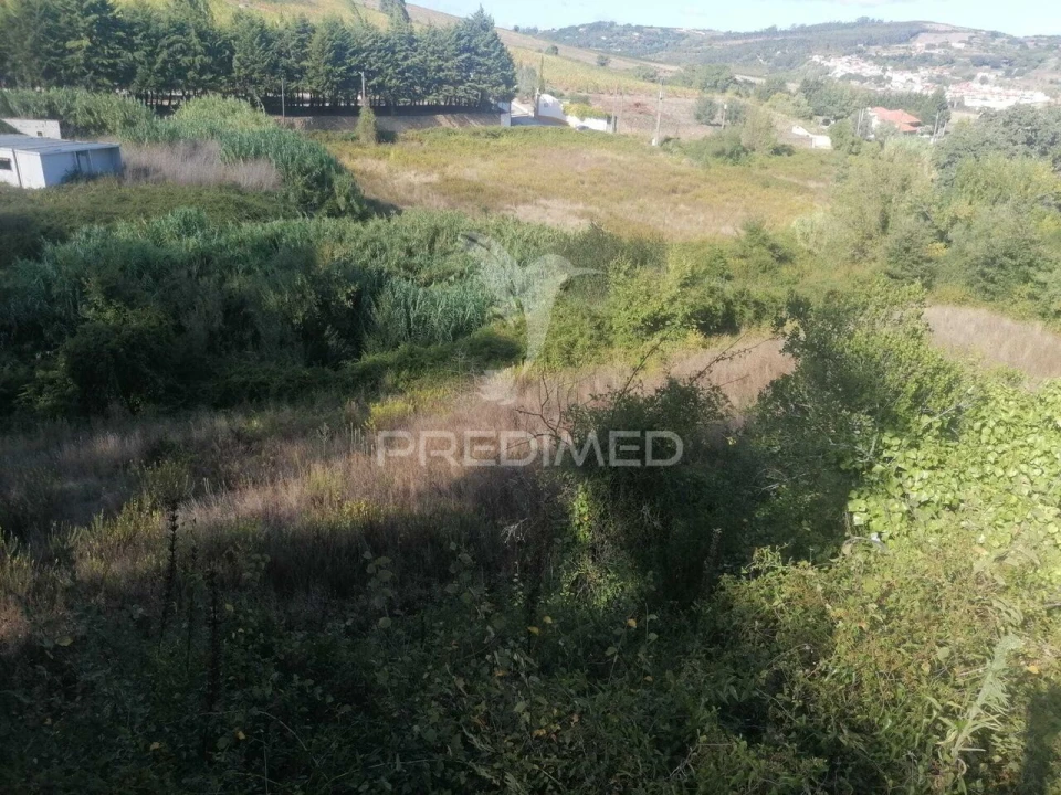 Terreno para Venda em Santo Quintino Foto 8