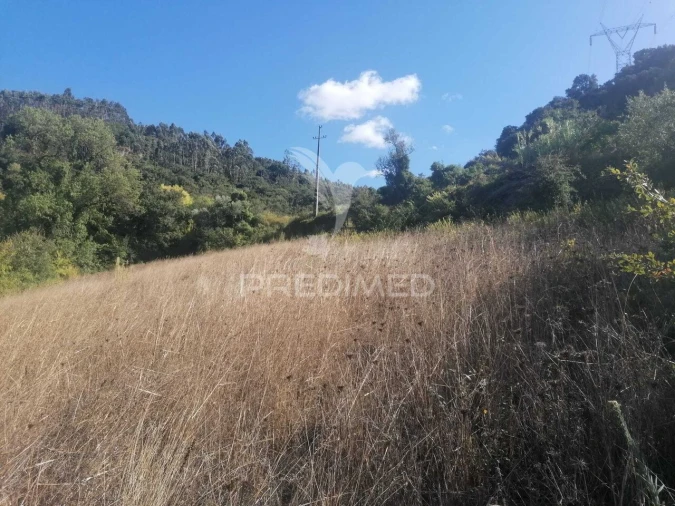 Terreno para Venda em Santo Quintino Foto 3