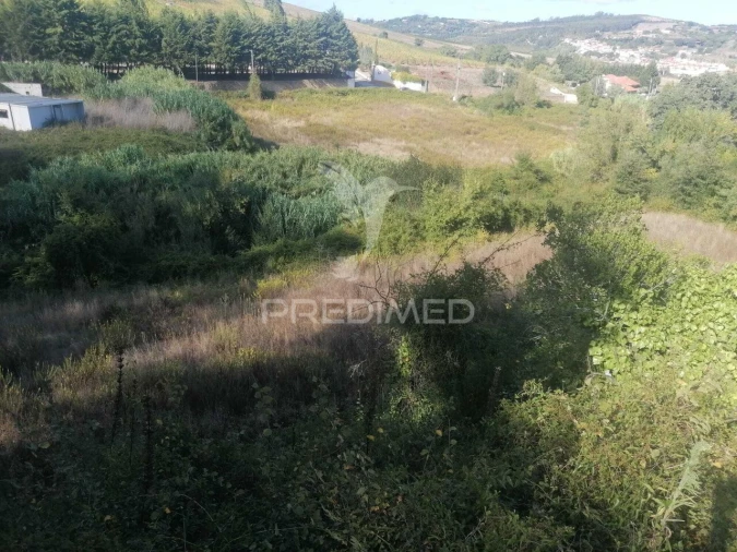 Terreno para Venda em Santo Quintino Foto 8