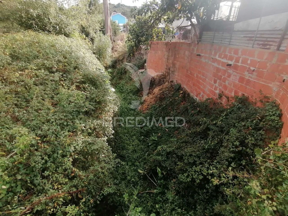 Terreno para Venda em Santo Quintino Foto 4