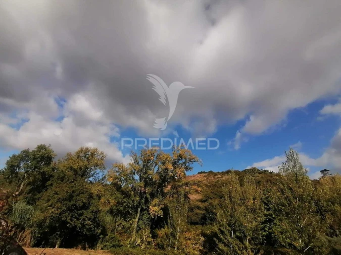 Terreno para Venda em Santo Quintino Foto 8