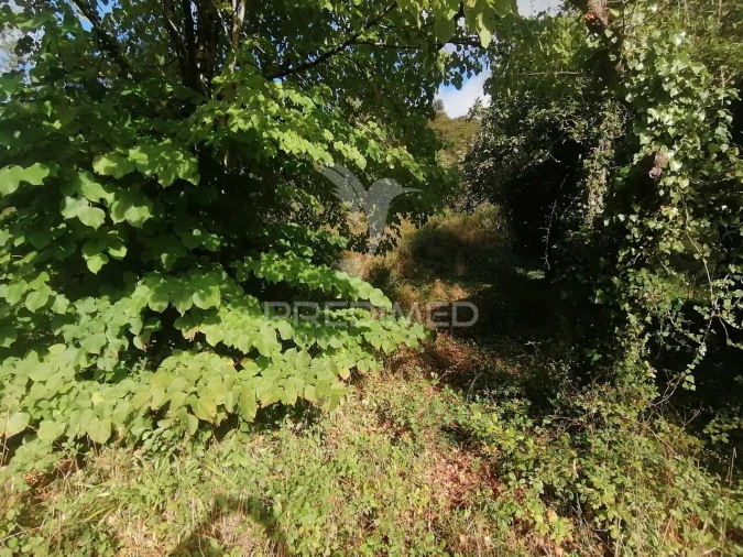 Terreno para Venda em Santo Quintino Foto 2