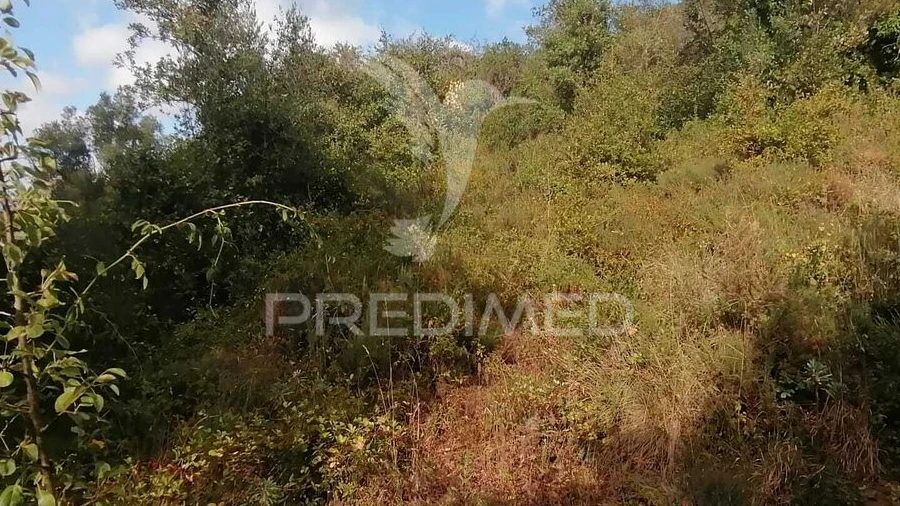 Terreno para Venda em Santo Quintino
