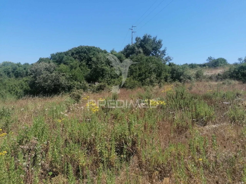 Terreno para Venda em Santo Quintino Foto 4