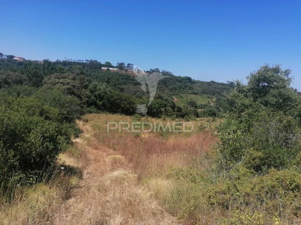 Terreno para Venda em Santo Quintino Foto 3